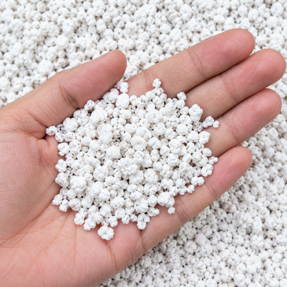 Perlite for Plants | Improves Drainage & Root Growth
