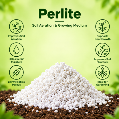 Perlite for Plants | Improves Drainage & Root Growth