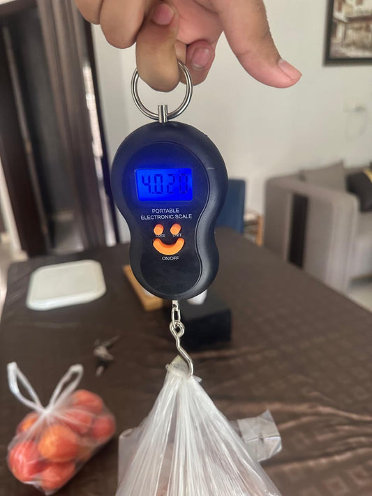 Portable Digital Weight Scale